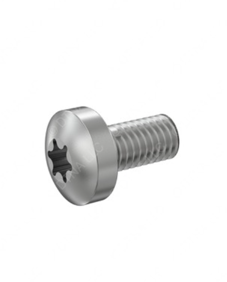 DETROIT M6 SCREW - DDE N000000001146